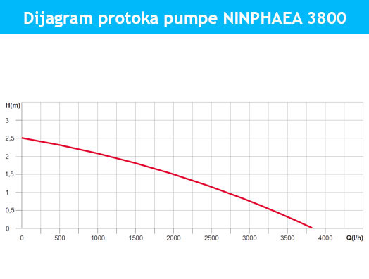 dijagram-ninphaea-3800